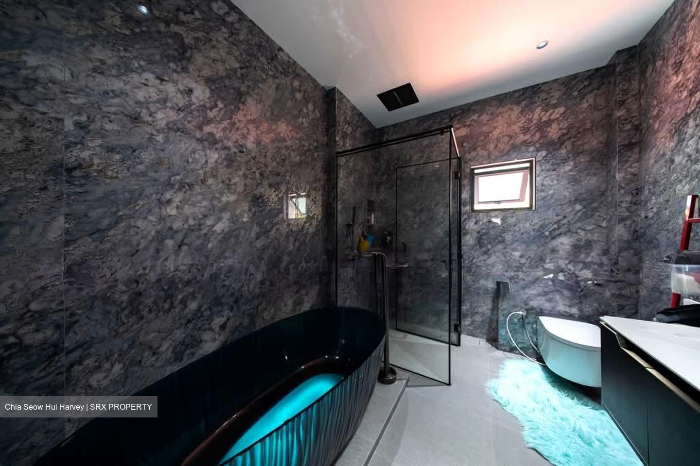 Paya Lebar Gardens (D19), Terrace #572277541